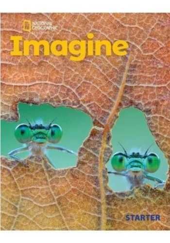 Imagine Starter Teacher's Book - Elaine Boyd, Paul Dummett