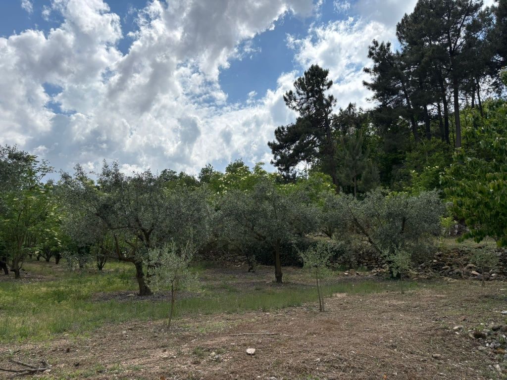 Vende se terreno agrícola