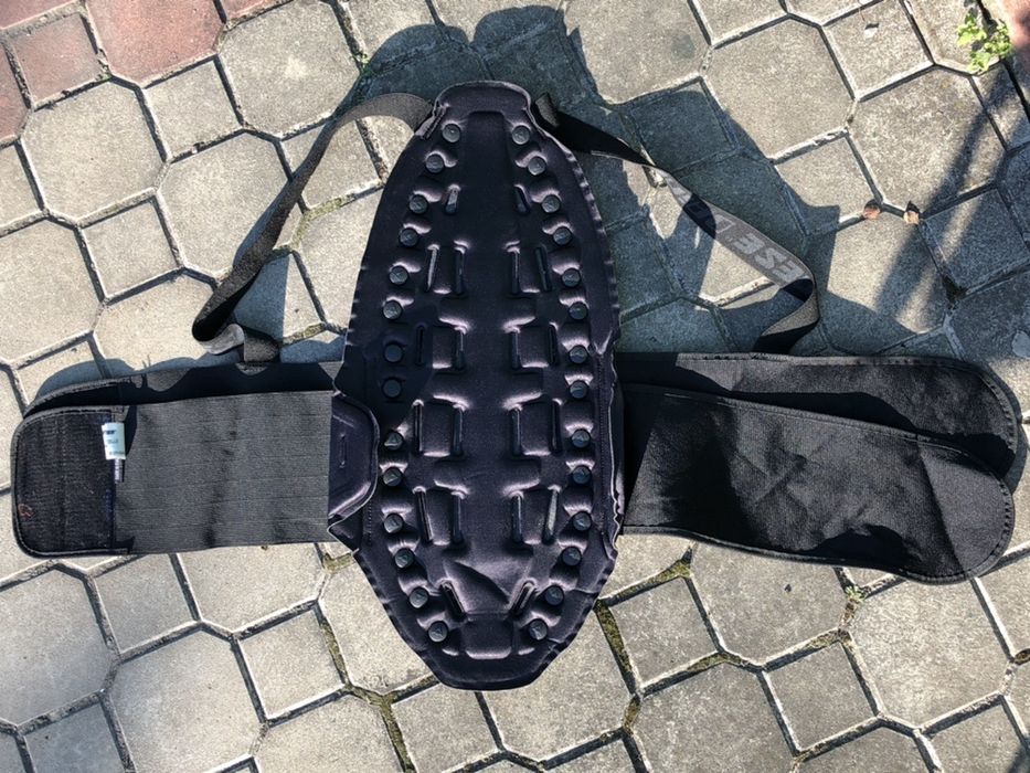 Защита спины черепаха моточерепаха мотозащита Dainese лыжи