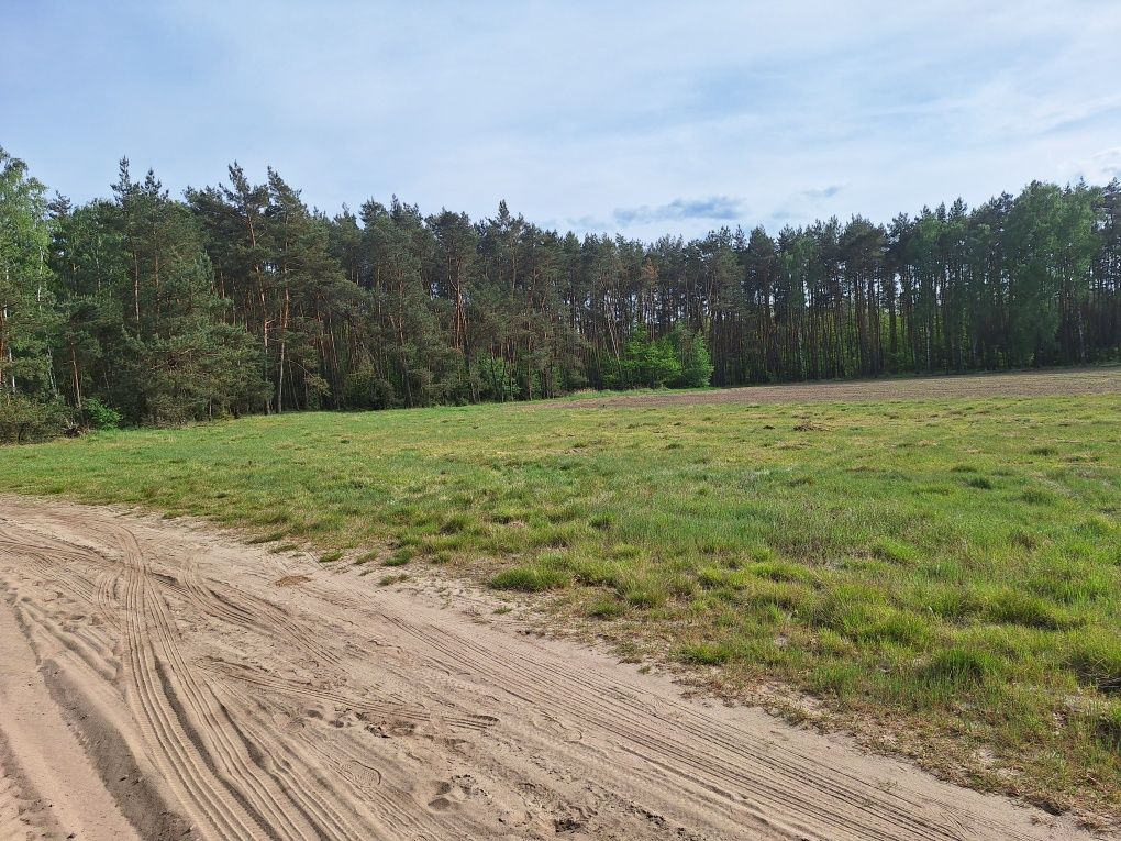 Sprzedam działkę budowlaną pod lasem Siedlątków