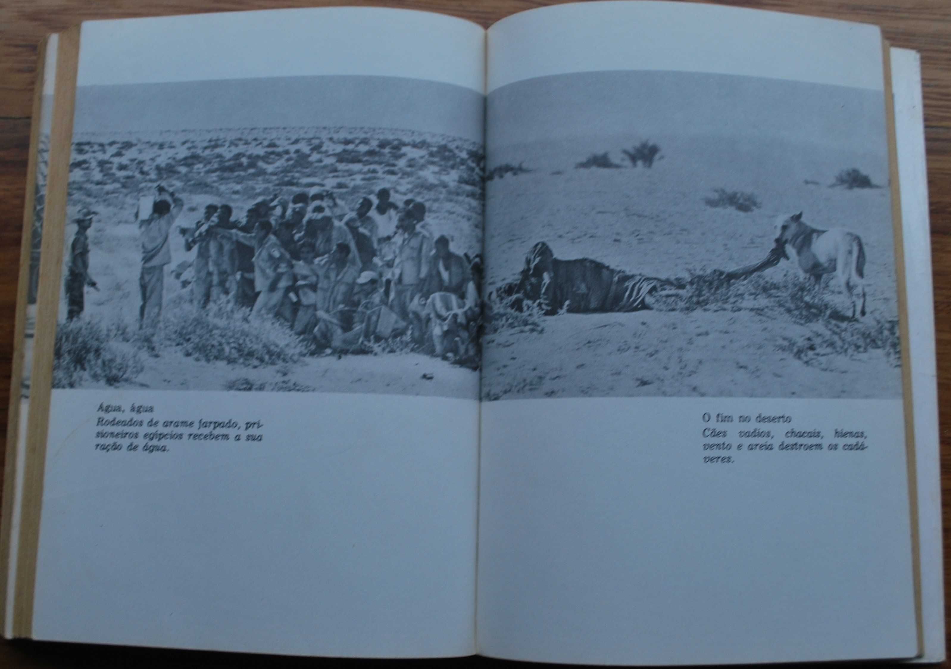 David e Golias (A Batalha de Israel 1967) de Ernst Trost