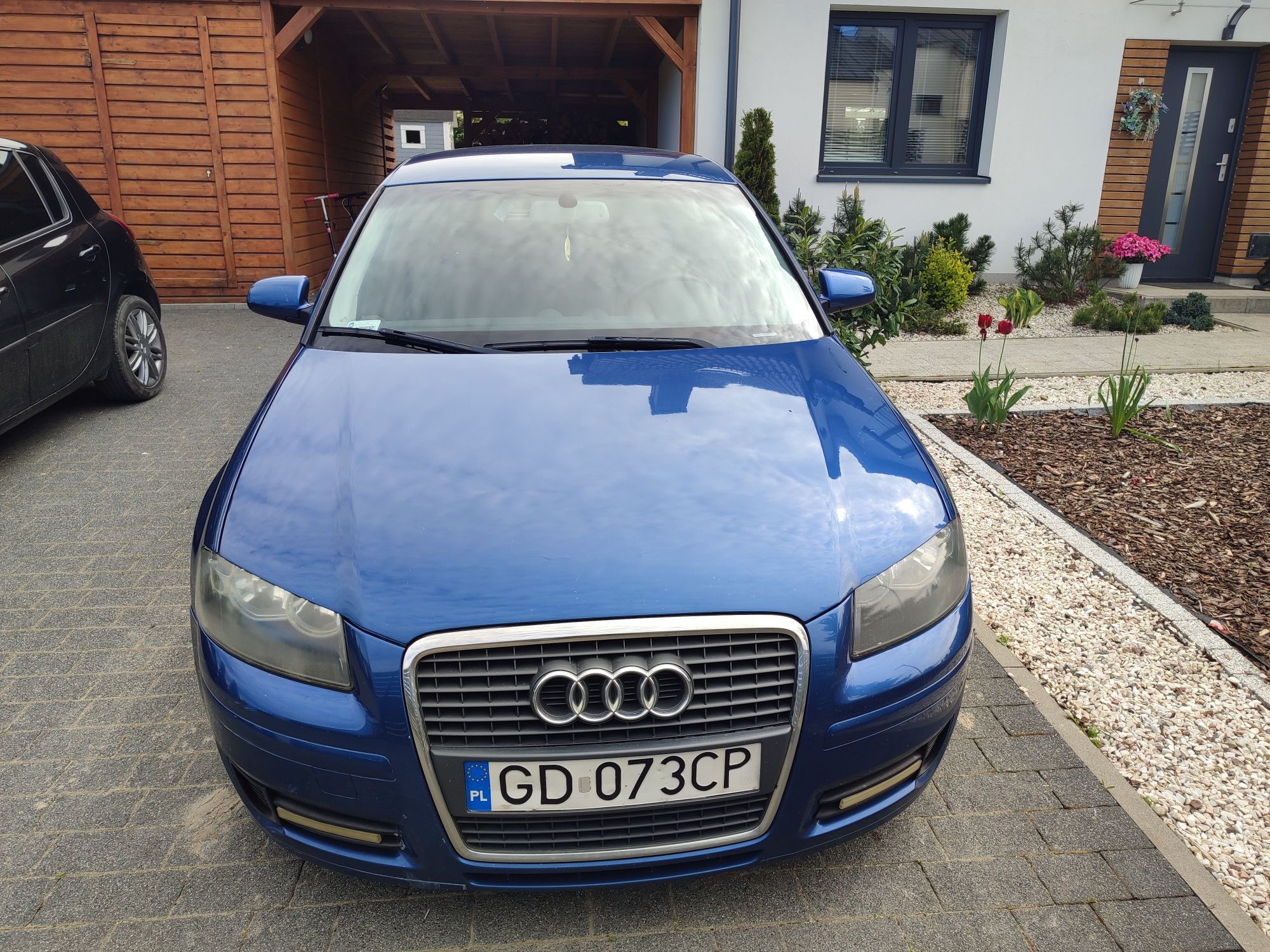 Audi A3 8P 1.9 TDi 105 KM