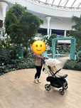 Cybex Beezy 2024 коляска візок прогулянка прогулянкова