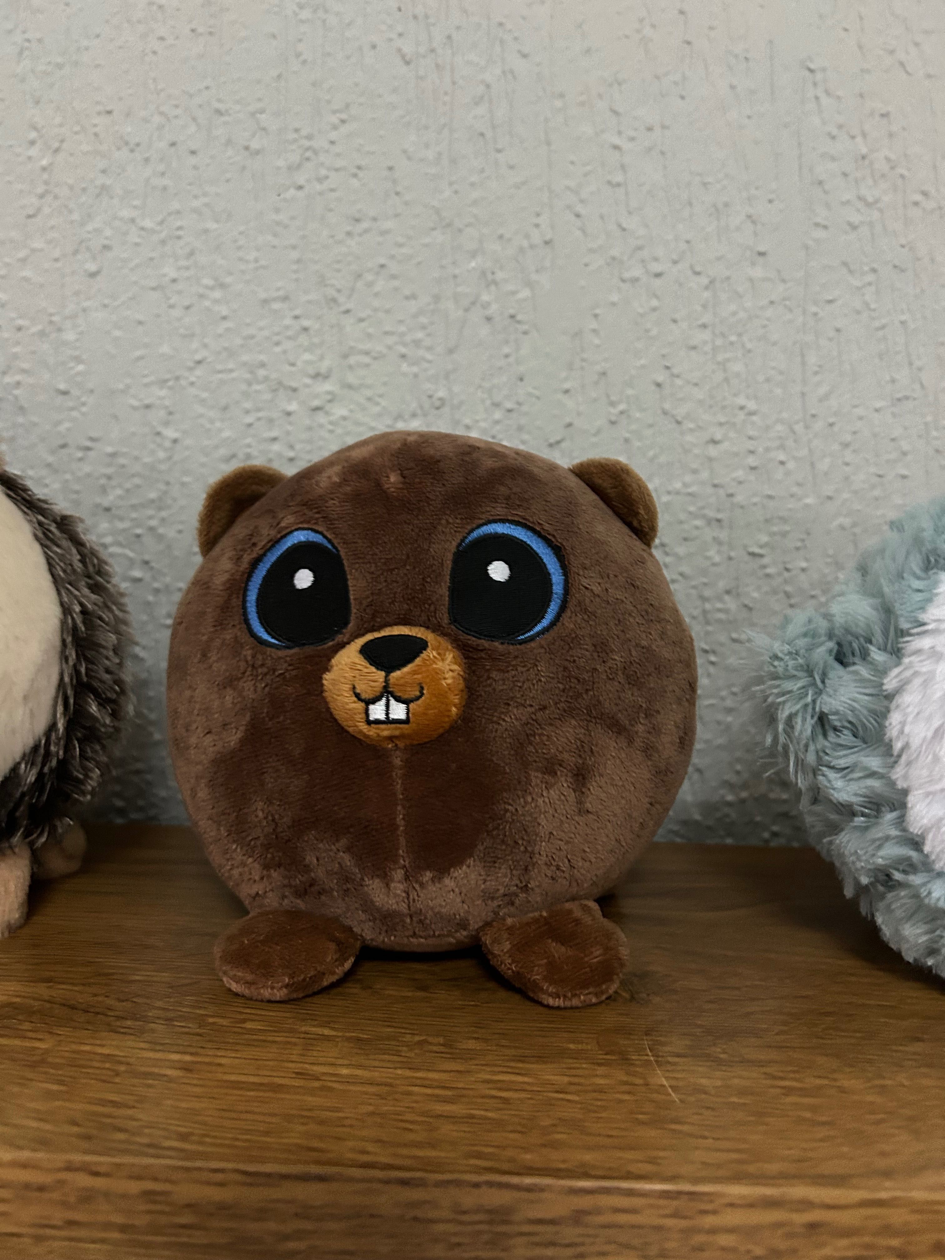 Peluches bando do bosque