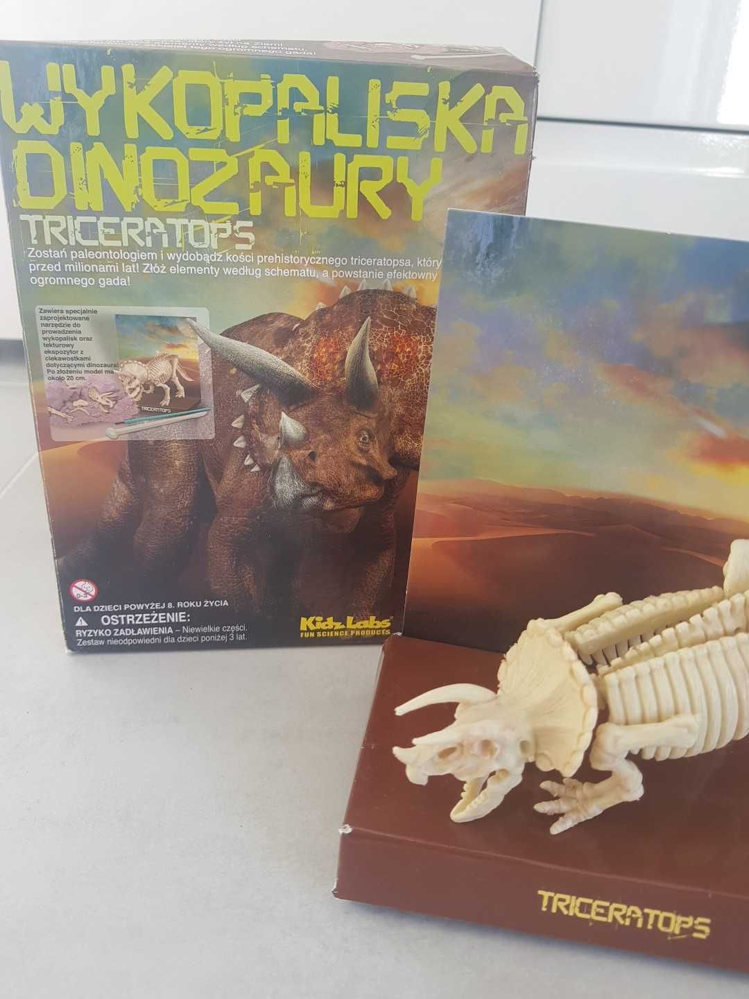 Wykopaliska dinozaur stegozaur i tricerators
