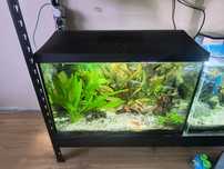 Akwarium 72l aquel