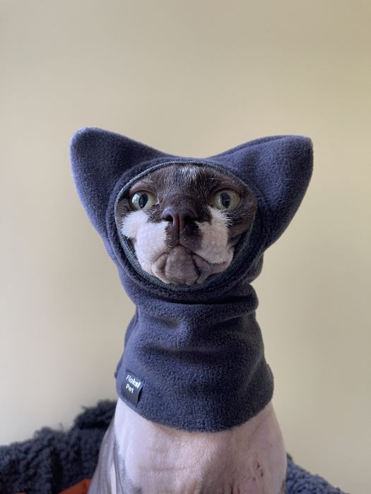Шапка для сфінкса кота кішки кошеня одежда