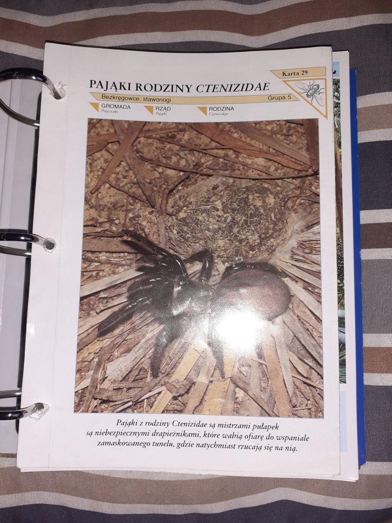 Encyklopedia przyrodnicza dla dzieci, kolekcja