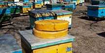 Продам воск пчелиный забрусный