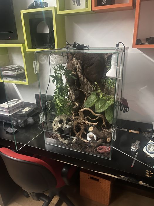 Terrario para reptil