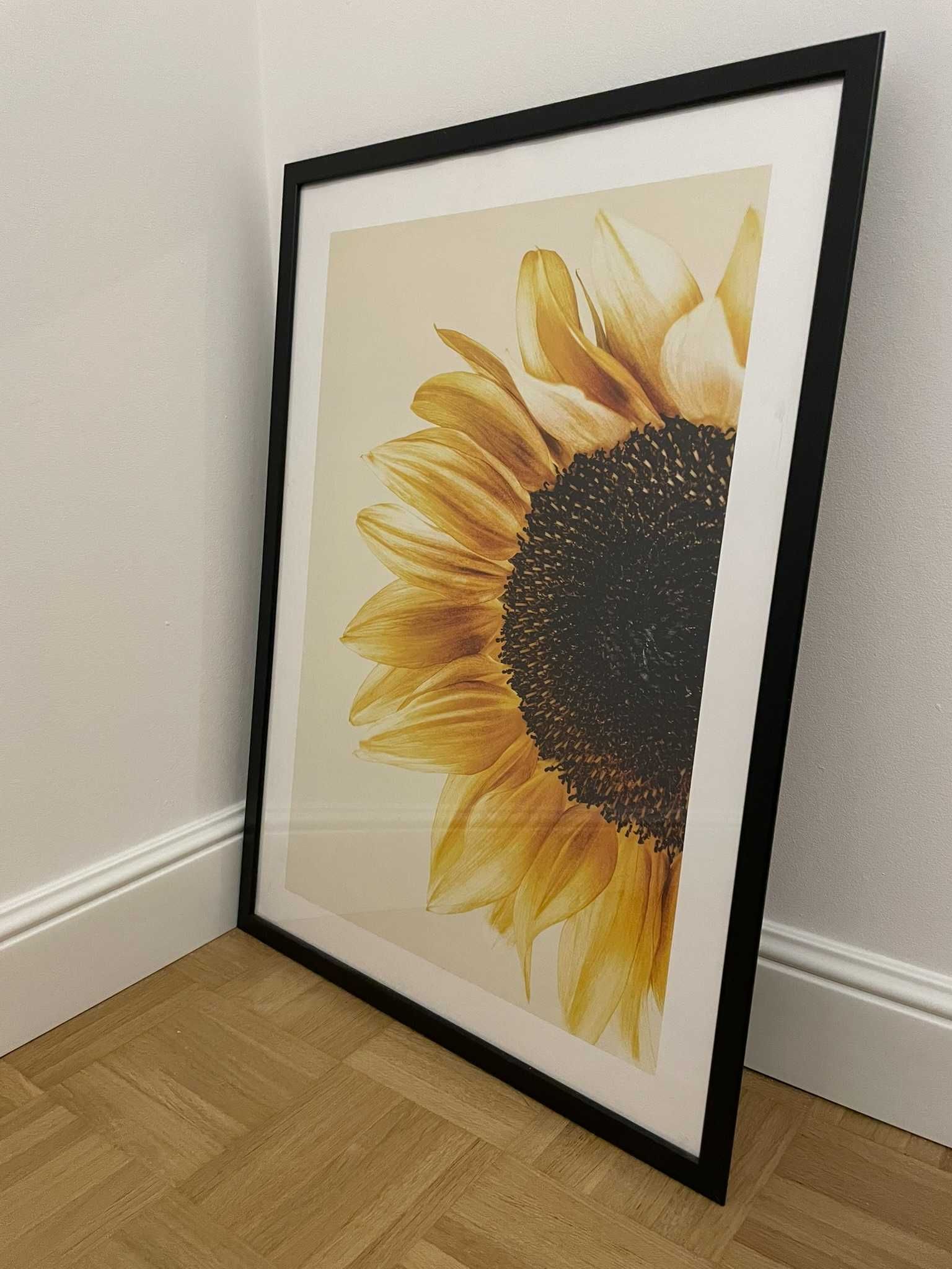 Ikea FISKBO, ramka, 50x70 cm plakaty różne rodzaje