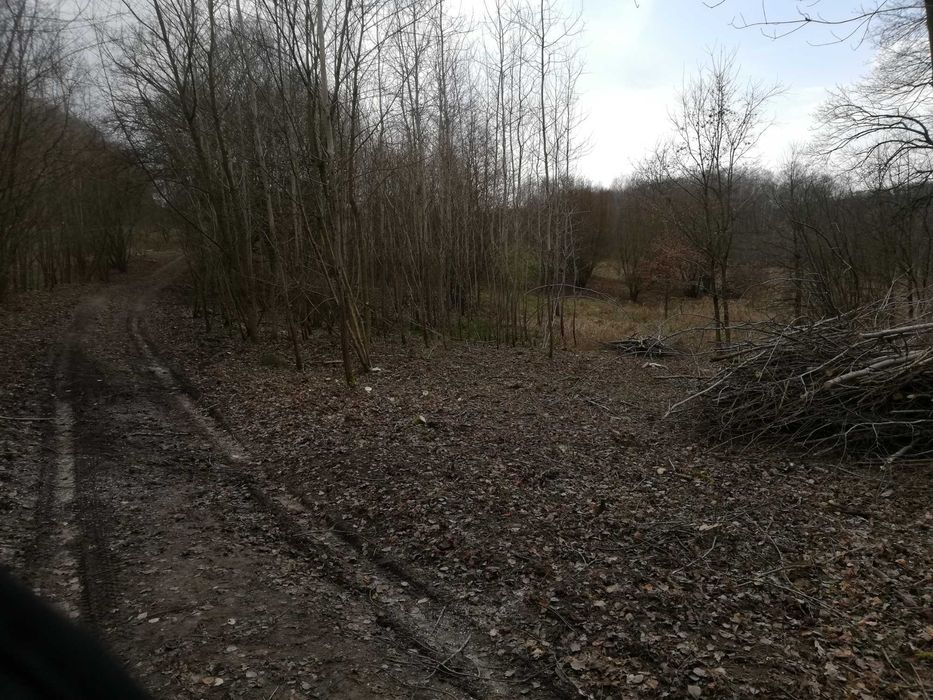 koszenie trawy.mulczowanie ,rekultywacja oczyszczanie terenów rolnych