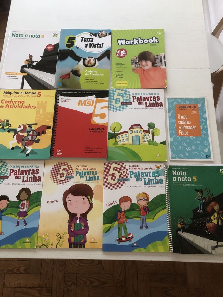 Livro e Cadernos de Atividades 5º Ano - vendo à unidade ou o conjunto
