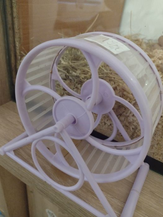 Akcesoria dla chomika