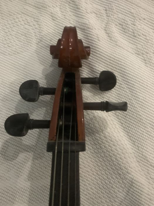 violoncelo estudante