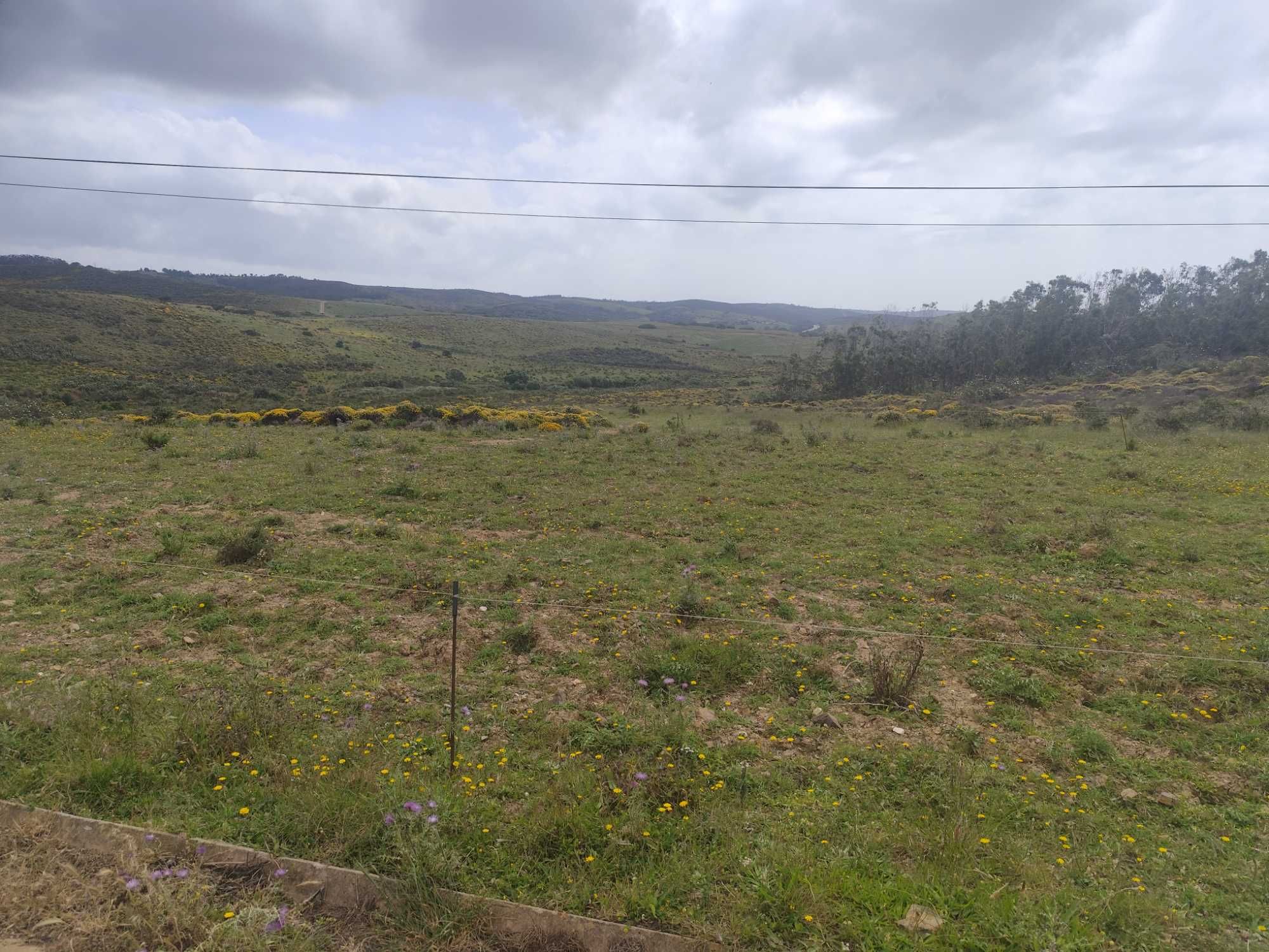 Terreno junto a urbanização altos da Raposeira.