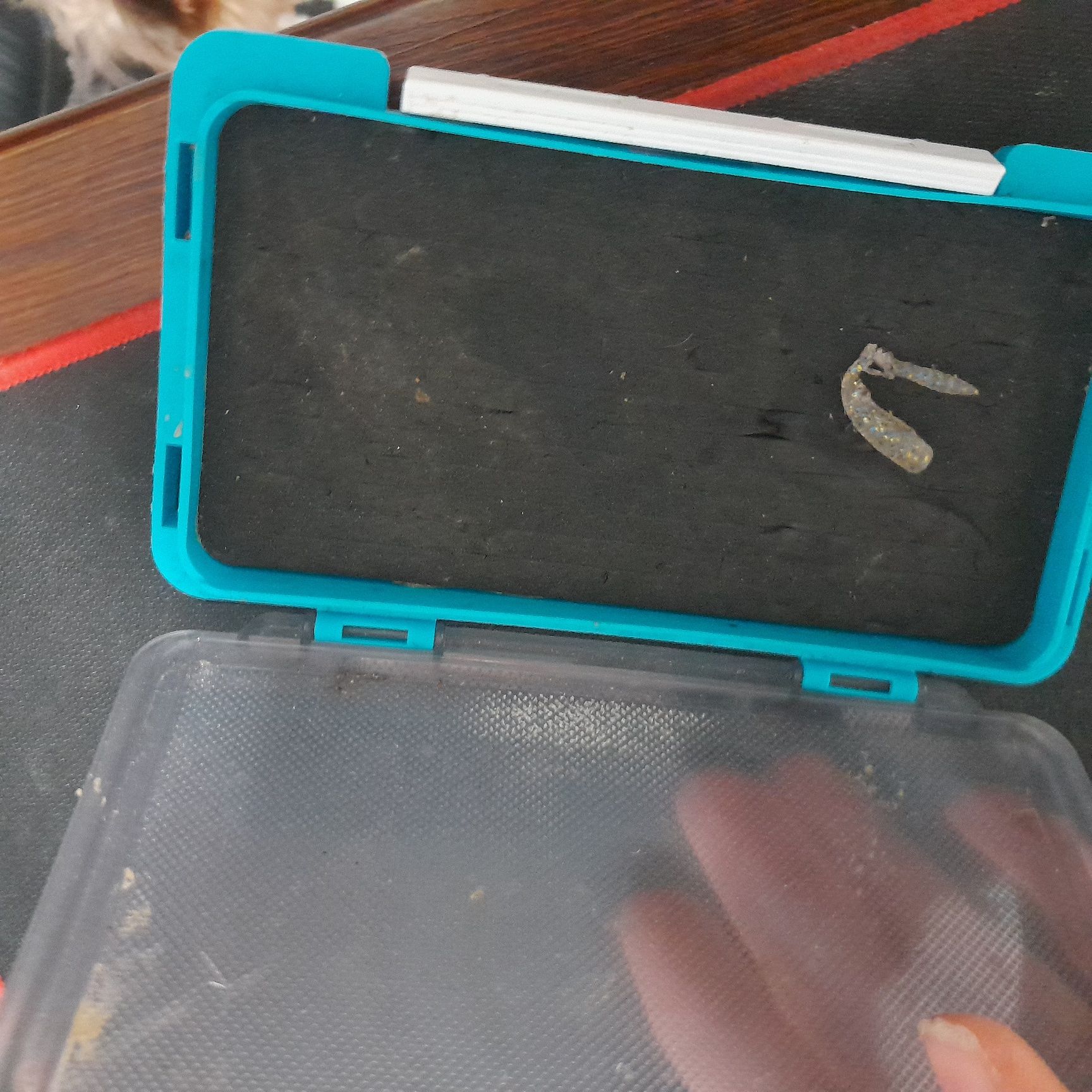 wędka feeder i tyczka I Gumy