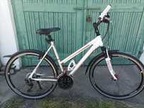 Rower damski Bills Cross Bike 1 trekking