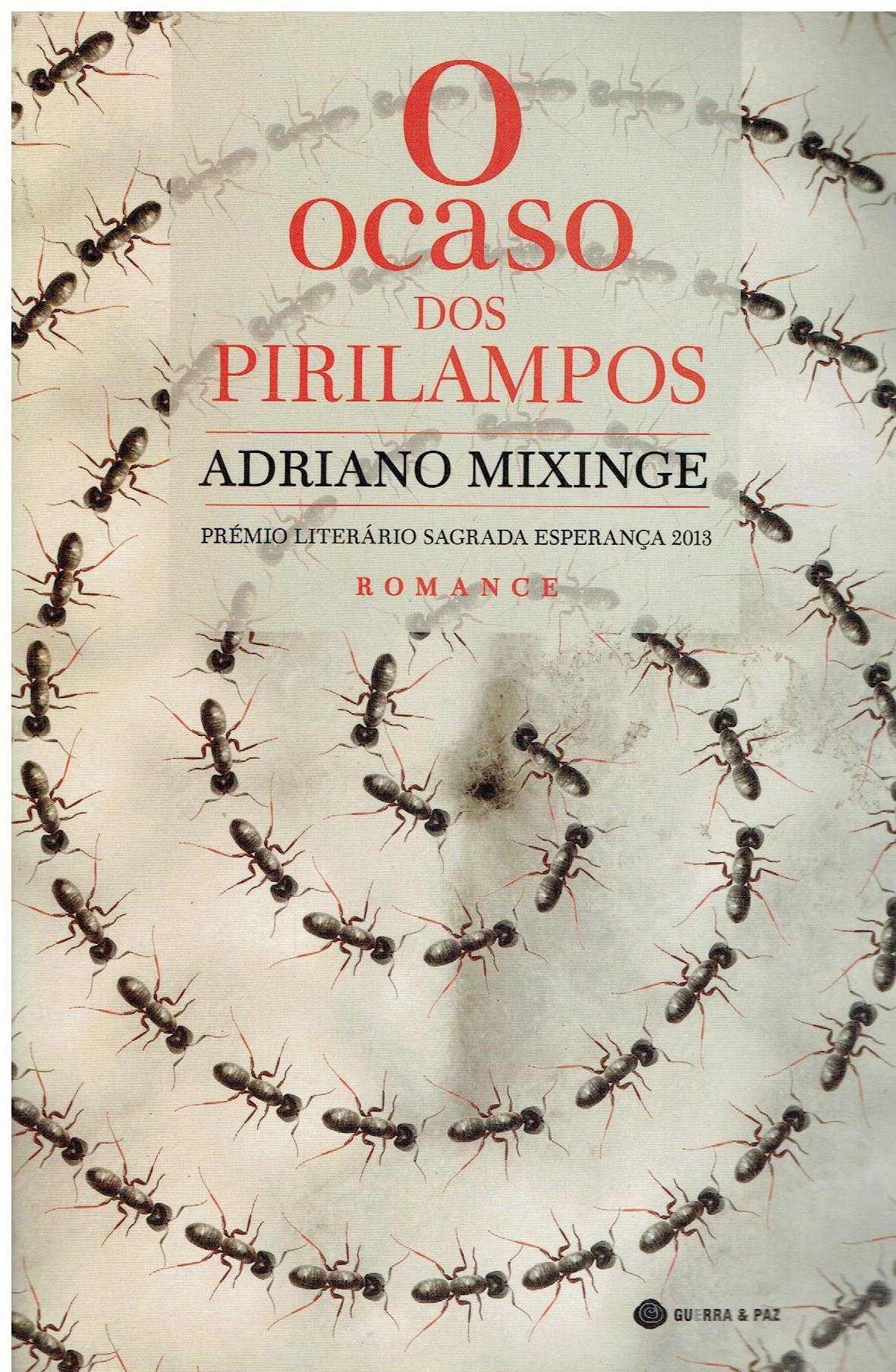 13913

O Ocaso dos Pirilampos
de Adriano Mixinge
