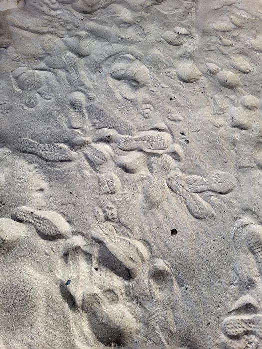 Oddam Piasek około 30 ton