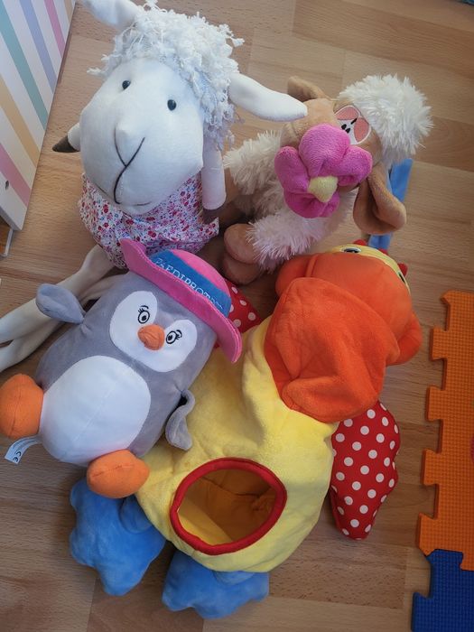 Pluszaki Misiaki oddam za darmo