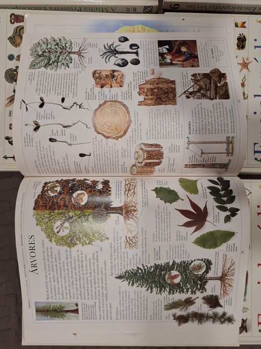 A minha primeira enciclopédia verbo