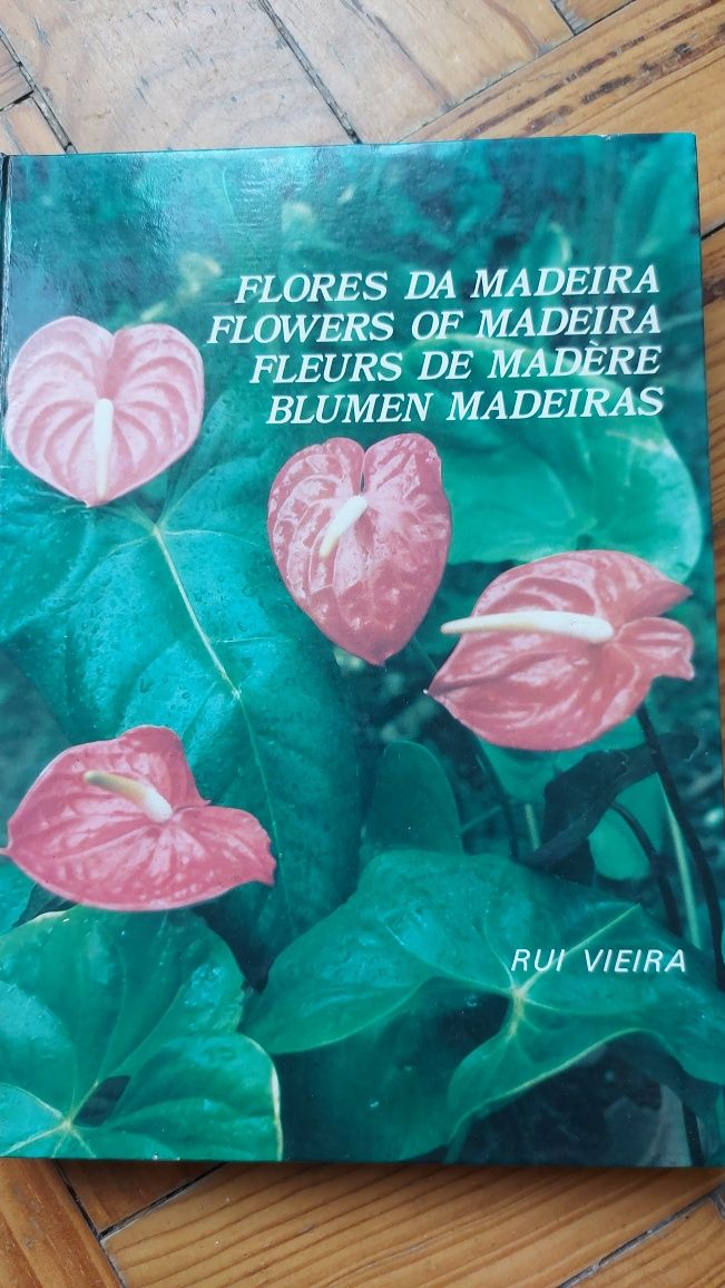 Flores da Madeira de Rui Vieira