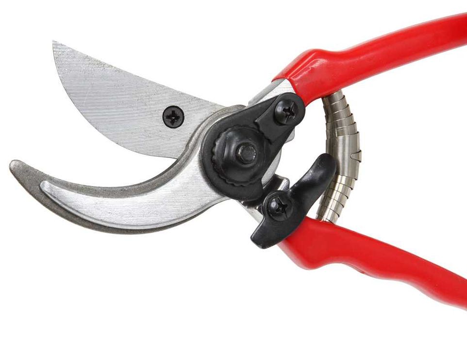 Zestaw sekatorów i nożyc do ogrodu