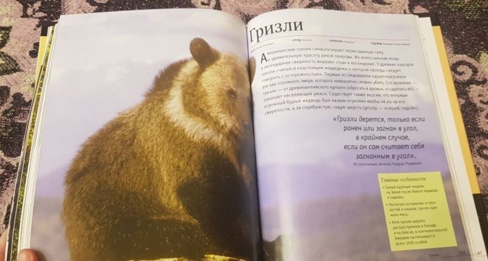 Книга Животные планеты энциклопедия