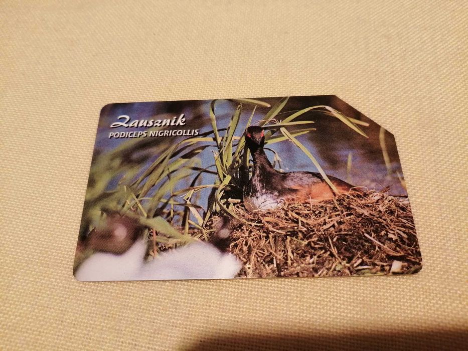 Karta do starego automatu telefonicznego, seria ptaki: Zausznik