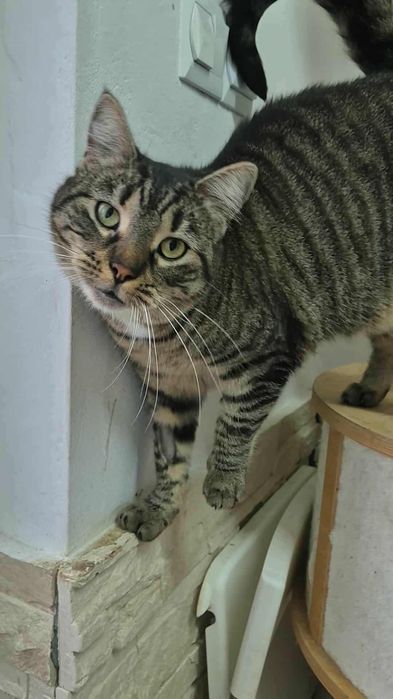 Helena szuka rodzinki