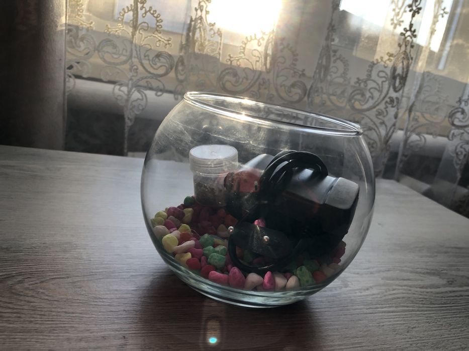 Продам , лот дя домашніх улюблеців