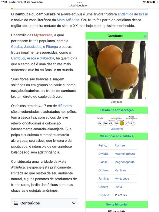 Cambucá ( plinia edulis )