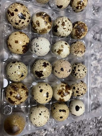 Перепeлиние яйца