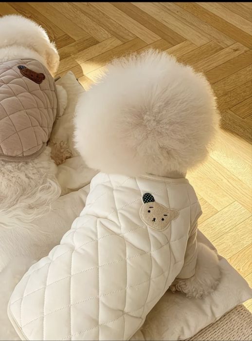 Желетка для собаки