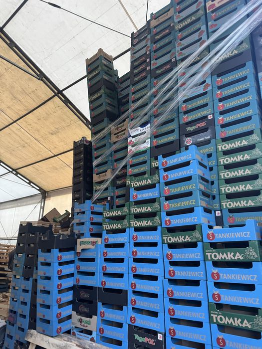 Sprzedam kartony po pomidorach