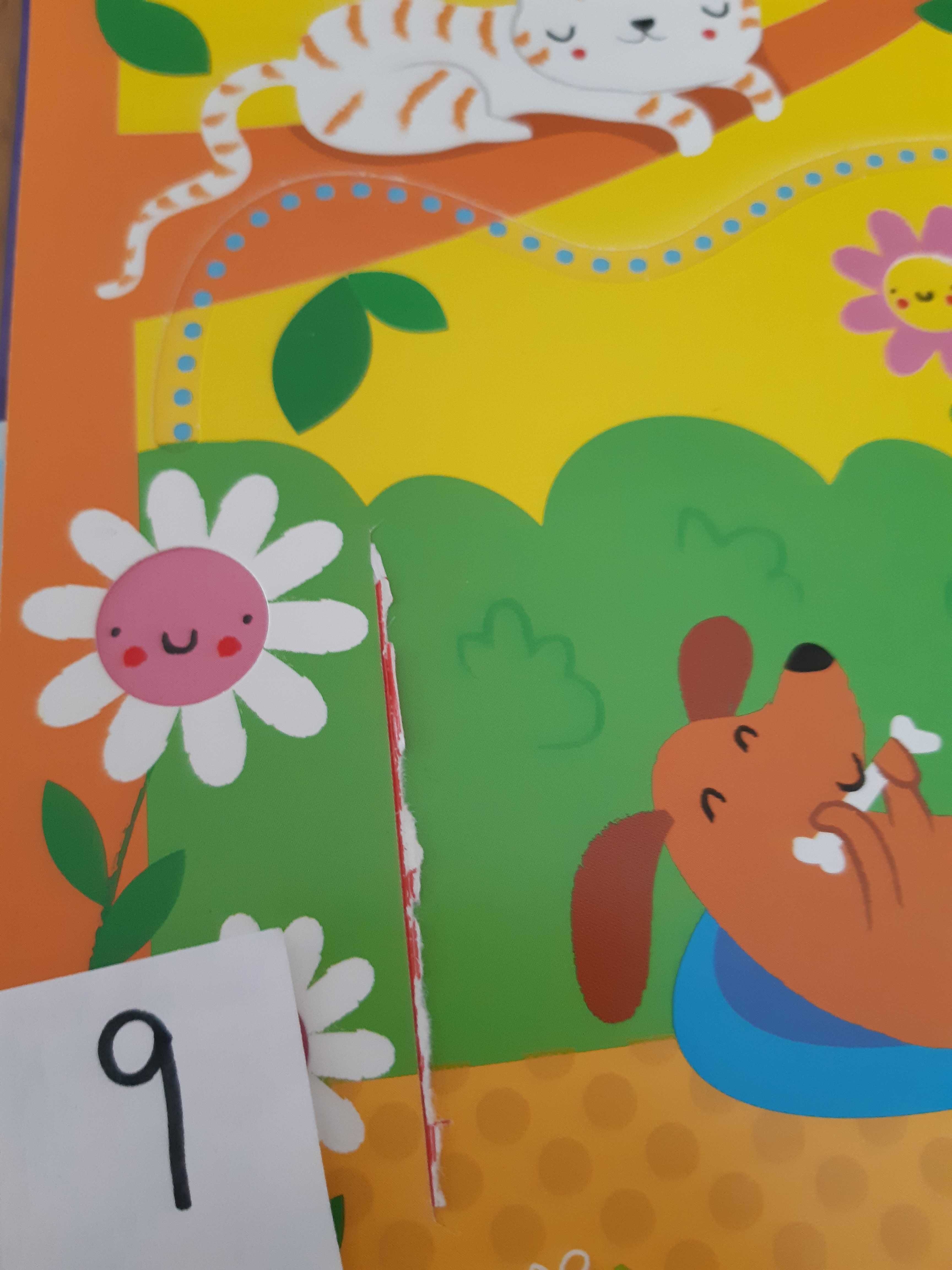 Używane Usborne Książki dla Dzieci Po Angielsku