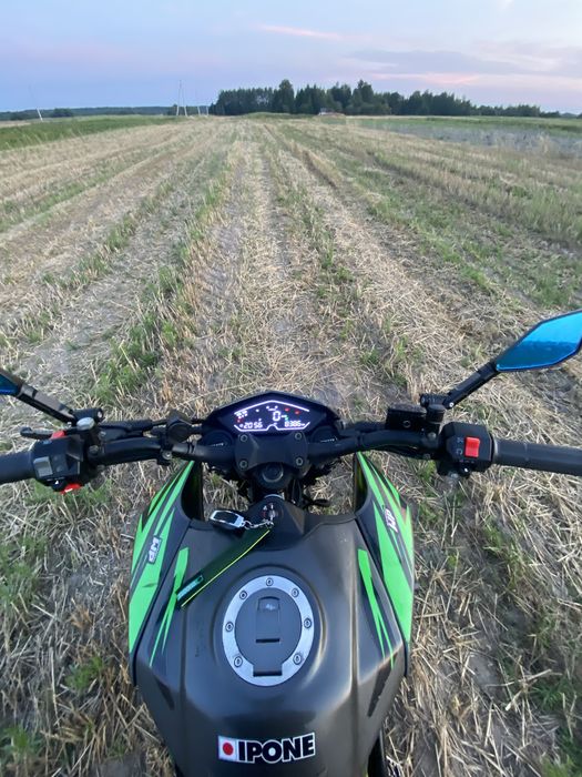 Tekken 250 r-line 2024