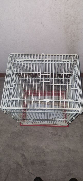 Gaiola pássaros grande