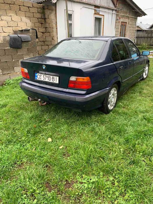Авто в легкових автомобілів