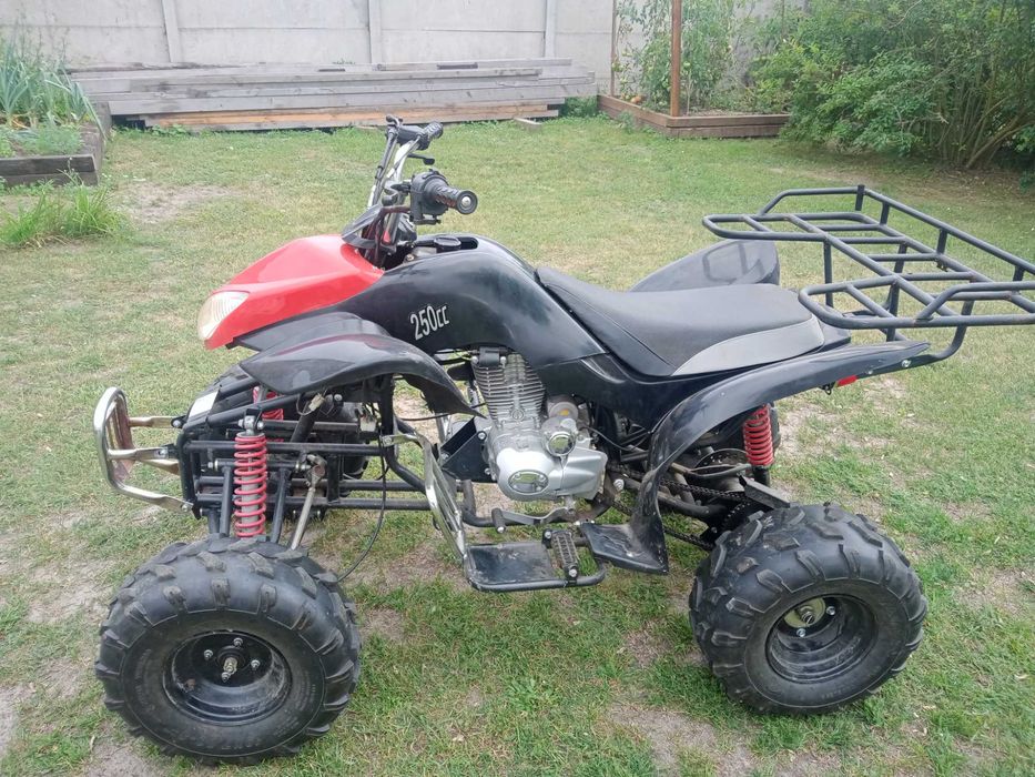 Quad Raptor 250 ccm