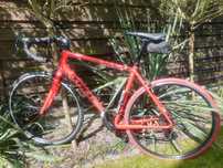 TREK Domane AL3, rozm. 56 (22") - rower szosowy