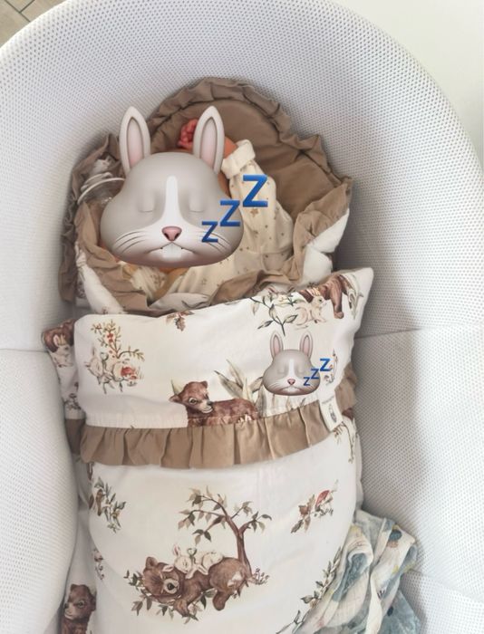 Kosz mojrzesza kołyska Shnuggle