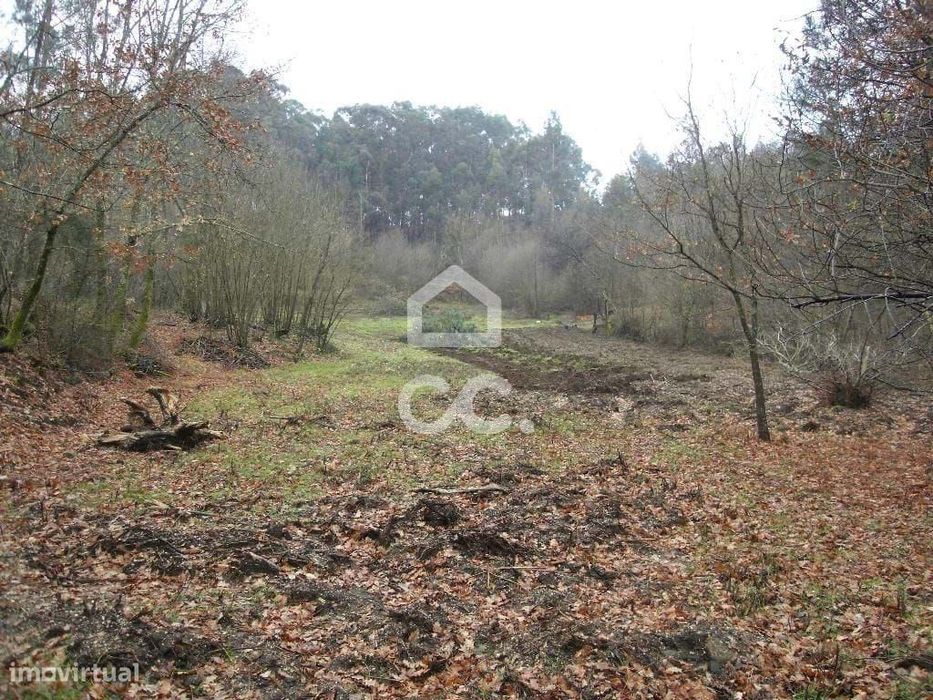 Terreno para moradia - Terreno para Construção