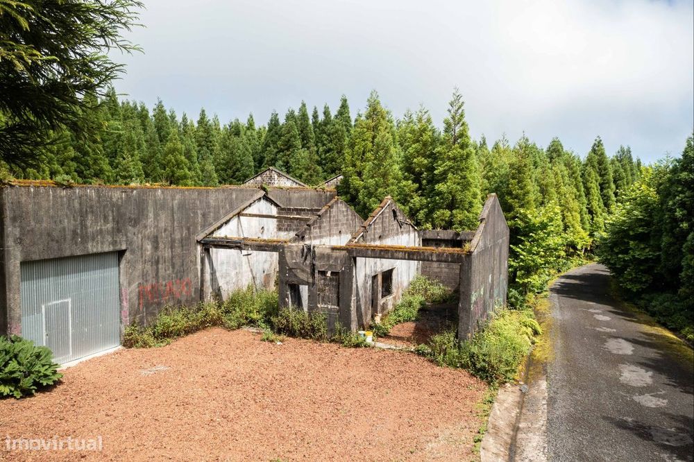 Quinta florestal  // Património ambiental // Investimento ROI garantid