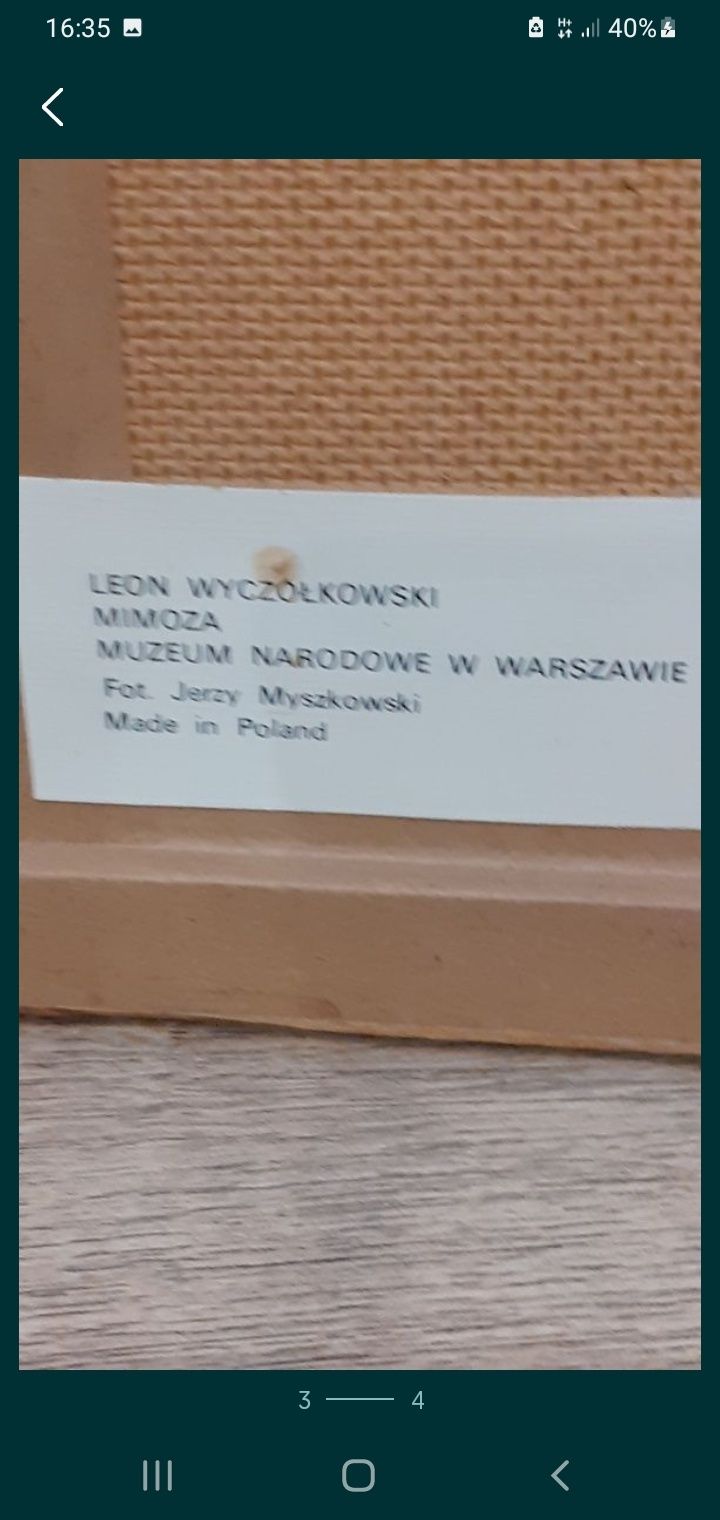 Obraz Leon Wyczólkowski Mimoza z prl bardzo ładny