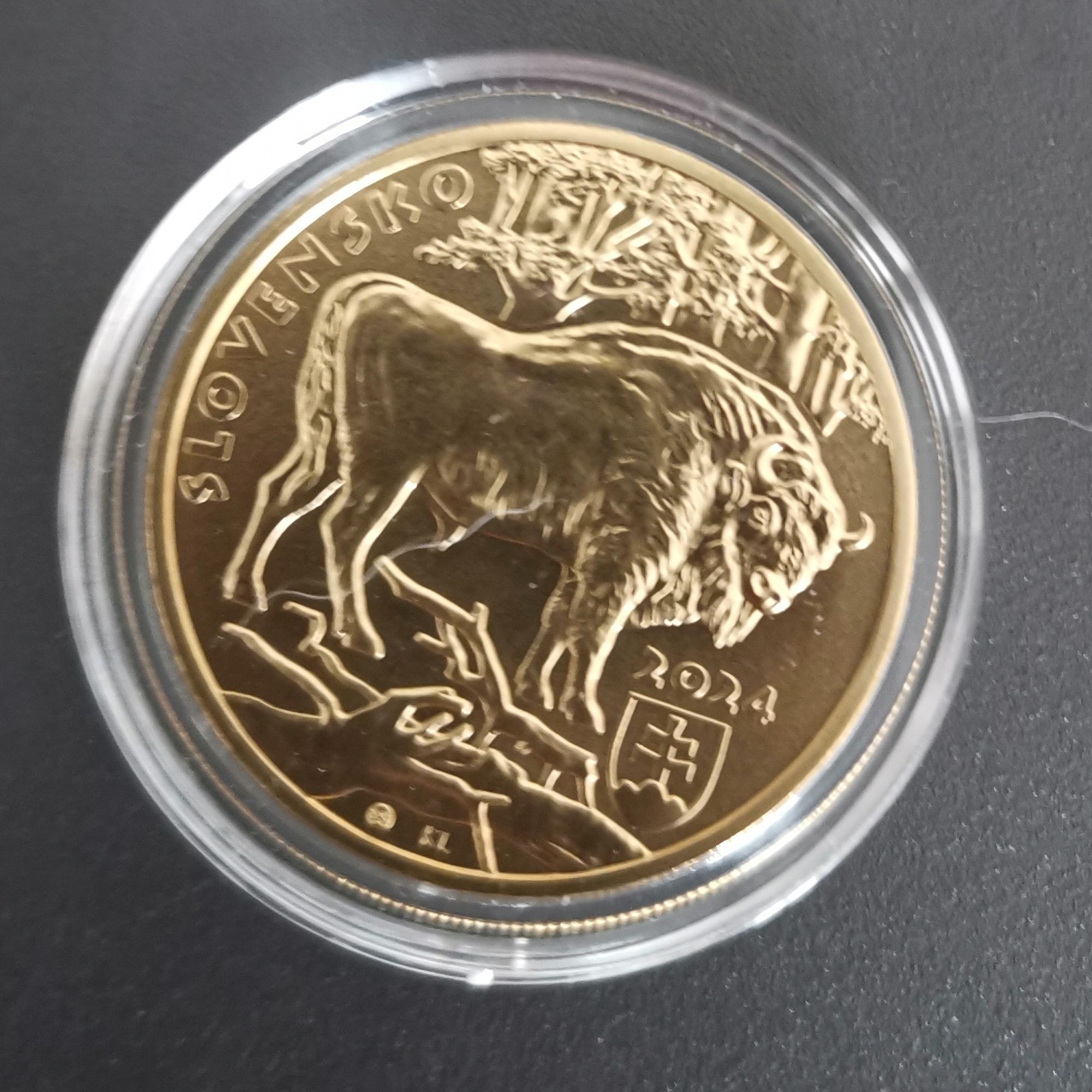Moeda "Bisonte" da Eslováquia 2024