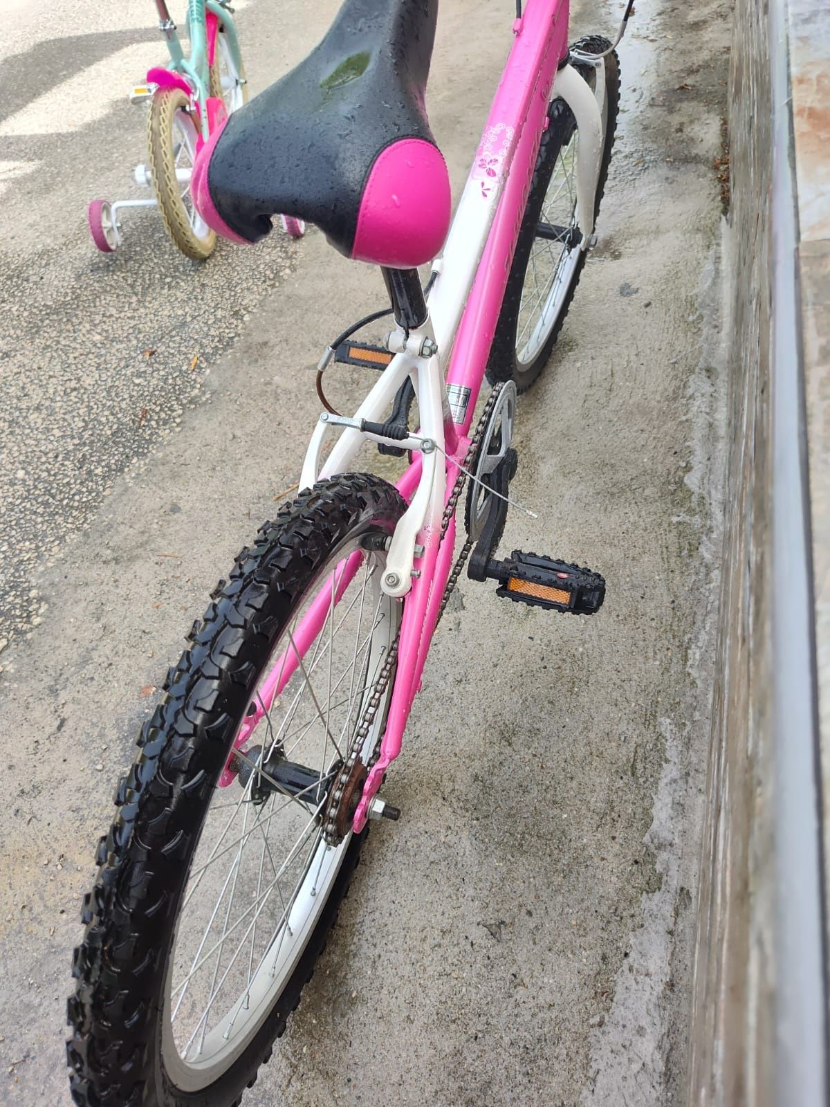 Bicicleta juvenil ( roda 20)