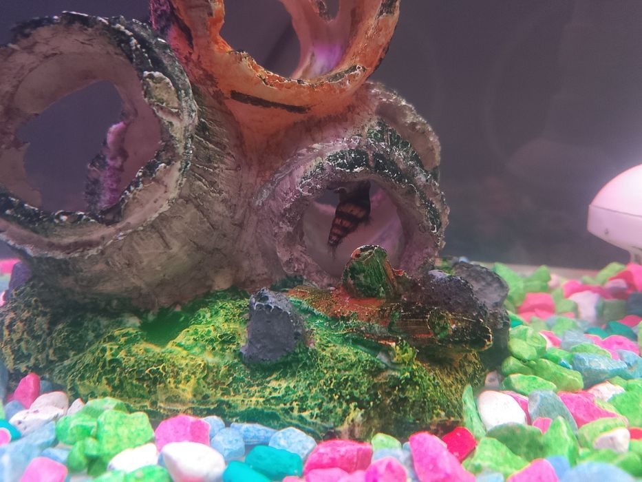 Akwarium na sprzedasz wszystko co na zdj w bardzo dobrym stanie jak no