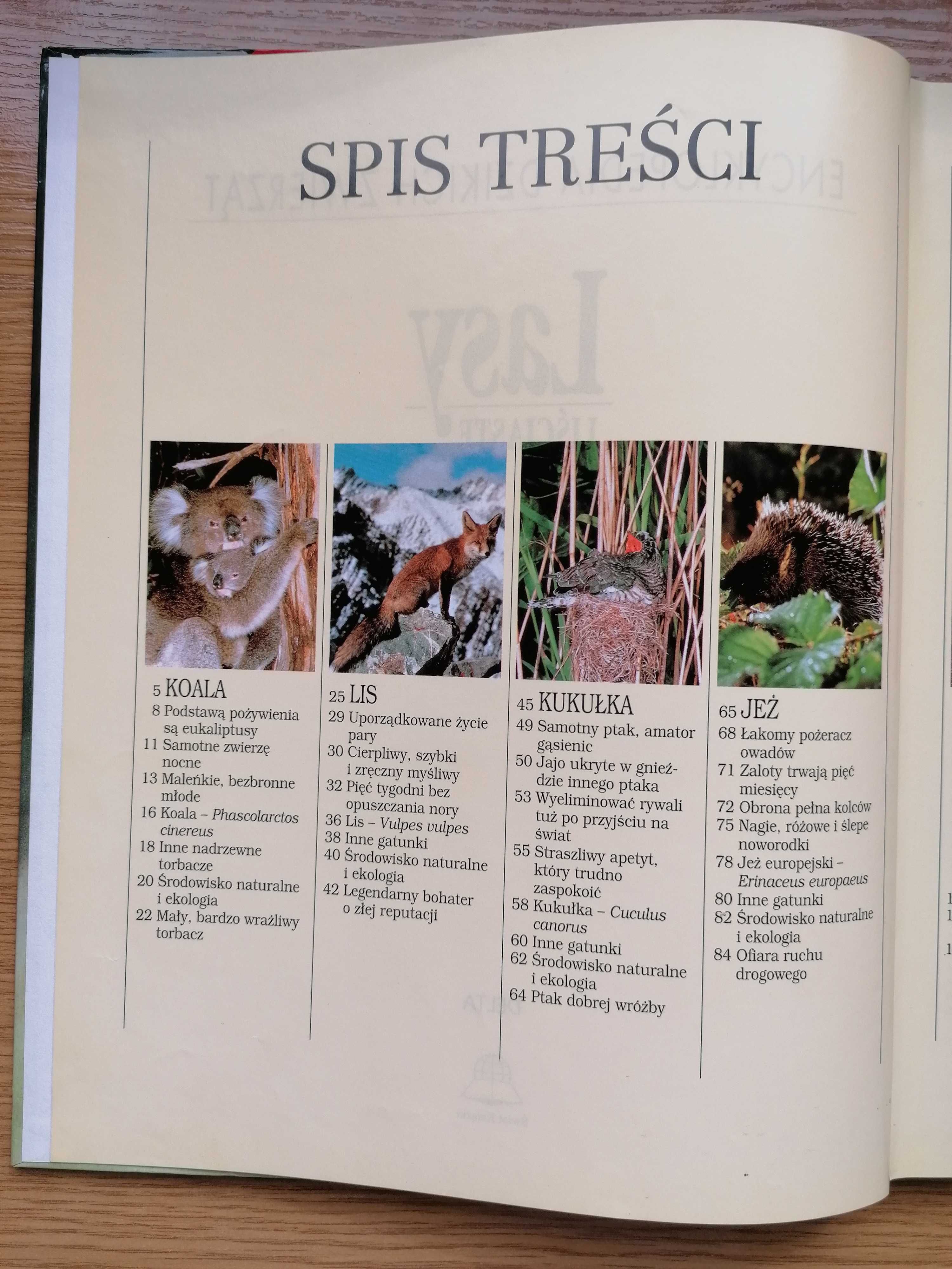Encyklopedia dzikich zwierząt